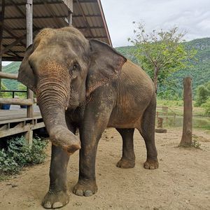 Meet your Posher, Meghann